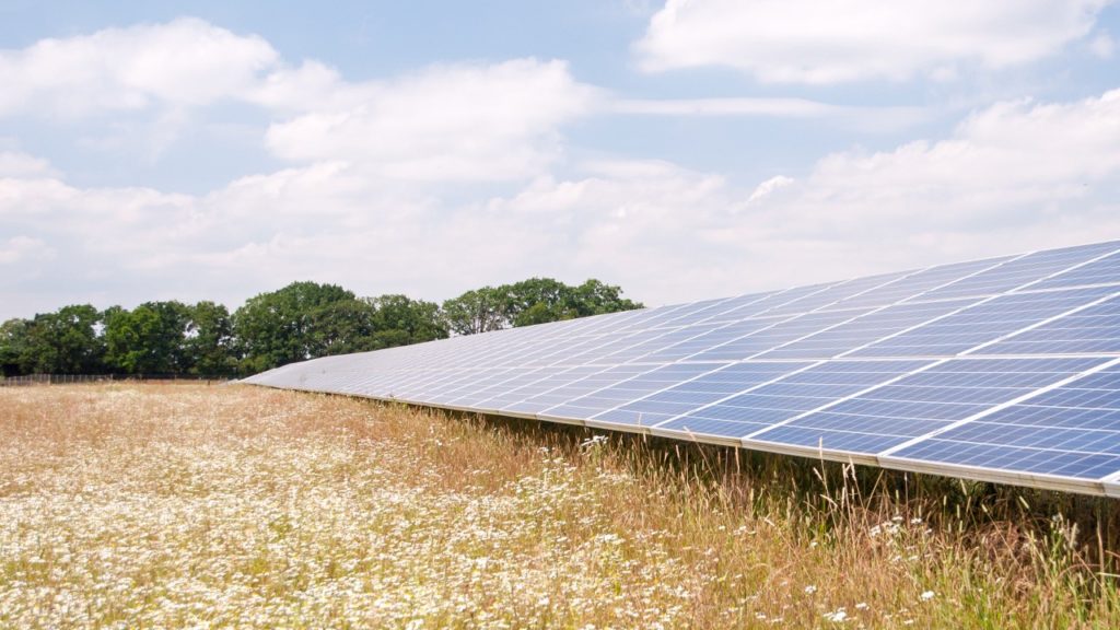 Every PPA helps: Tesco partners Low Carbon for 130GWh of solar