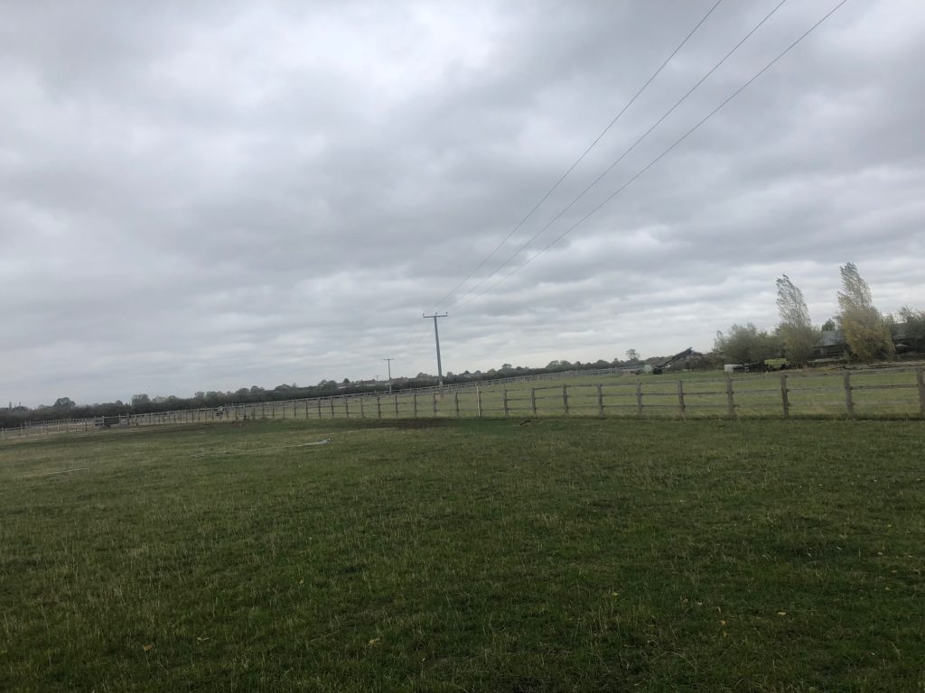 Thrive Renewables enters battery storage market with 5MW acquisition