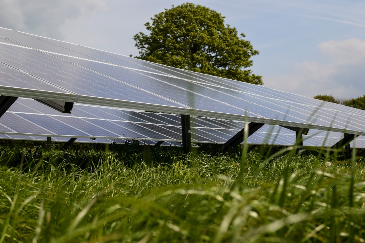 Elgin Energy targets 5GW of solar plus storage by 2025 following £25m ...