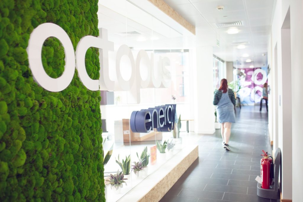 Octopus Renewables and Zestec set their sights on £100m solar portfolio in new partnership