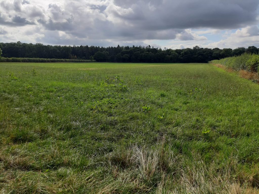 RES submitting planning application for 50MW Kingston Solar Farm