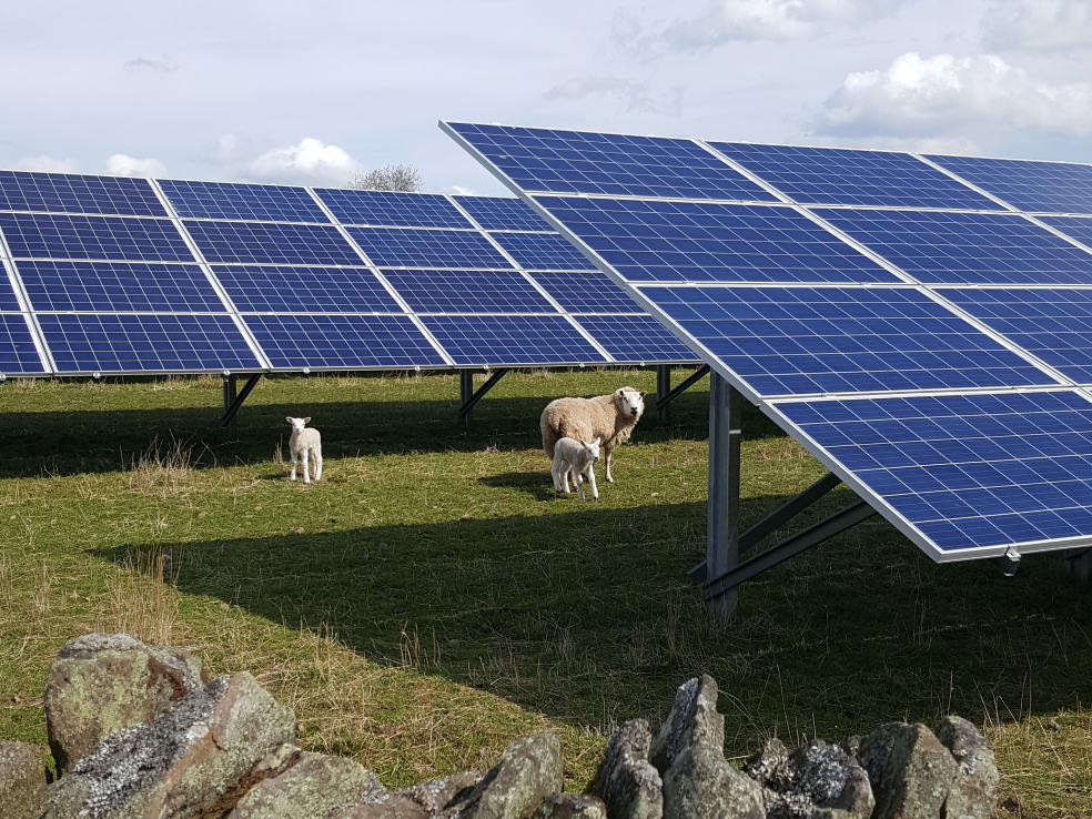 Triodos launches £4.7m community renewable energy bond offer
