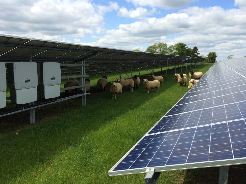 BayWa r.e. launches consultation for 160MW Oaklands Farm Solar Park