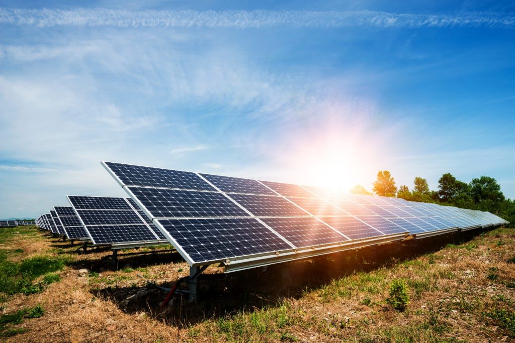 Two 50MW EDF solar sites move into site preparation and construction