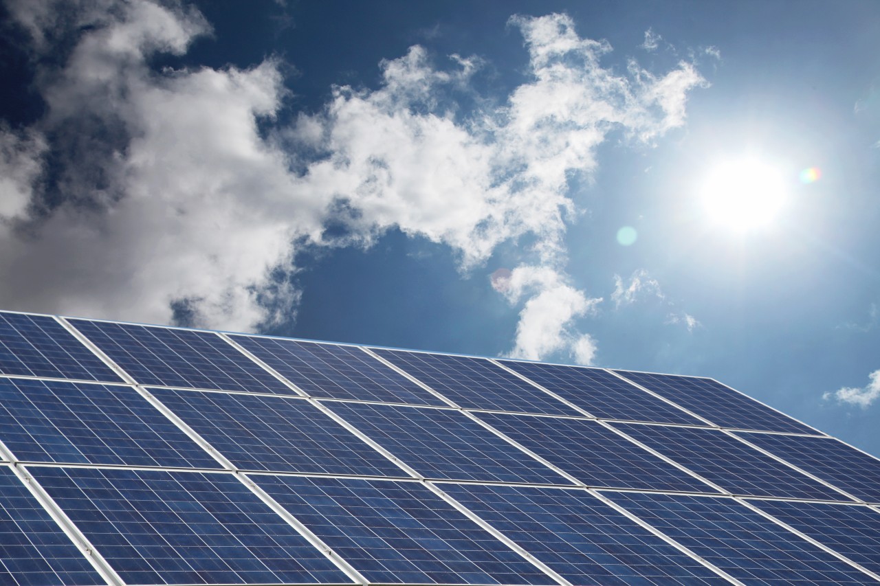 EDF Renewables’ 50MW Bloy’s Grove solar farm gets green light - San ...