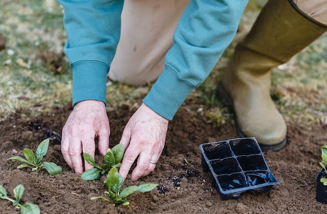 San Diego Green Chamber